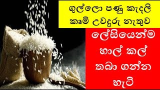 අවුරුද්දකට වඩා ලේසියෙන්ම හාල් කල් තබා ගන්න හැටි