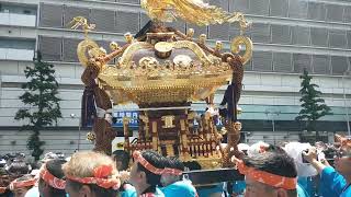 花園神社例大祭　本社神輿渡御　三光　明治通り　2024/5/26