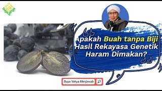 Apakah Buah tanpa Biji Hasil Rekayasa Genetik Haram Dimakan? - Buya Yahya Menjawab