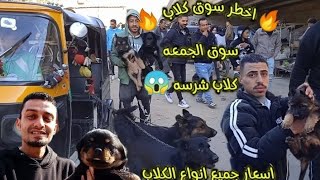 سوق الكلاب سوق الجمعه السيده عائشه اسعار جميع انواع الكلاب اخطر و اقوي سوق كلاب