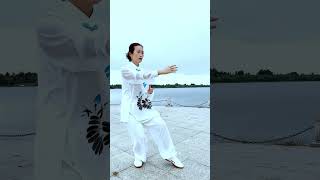 转身推掌 #42式太极拳 #taichi  #太极 #太極拳  #taichiquan #kungfu  #taiji #taijiquan #功夫 #武術 #wushu #martialarts #