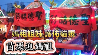 廟會go EP20 七頂神轎齊聚一堂/媽祖的好姐妹？/苗栗一年一度迎媽祖/苗栗天后宮恭迎北港媽祖祈福繞境第二天回宮