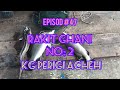 Episod #47 Rakit Ghani 2 Repeat to catch Baramundi again. Alhamdulillah..