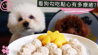 看狗勾吃點心有多療癒? 開箱汪事如意寵物鮮食點心 #開箱 #寵物 #紀錄生活【米娜與姆久 Mina \u0026 Mucho】