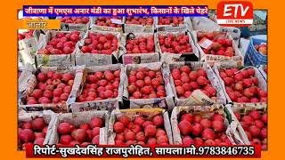 जीवाणा में एमएस अनार मंडी का हुआ शुभारंभ, किसानों के खिले चेहरे ||Pomegranate market inaugurated