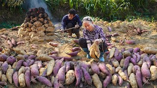 Using 150 catties of sweet potatoes to make sweet potato flour｜Guangxi Grandma