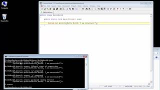 Introduction to Java Programming: Simple Debugging