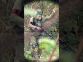 stealth airsoft sniper team in ghillie suits