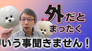 【犬のしつけ】外でまったくいう事を聞きません【悩み相談ライブ切り抜き】