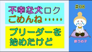 【不幸にしてしまった犬】70代バーバ　餅うめ子のひとり言　不幸にしてしまった犬のロク　＆　父親がブリーダーを始めたのはいいけれど