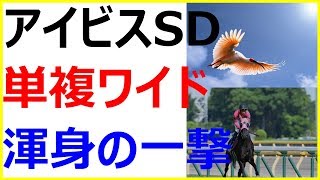 2018アイビスサマーダッシュ穴予想～厳選一頭推奨は重賞上位常連のあの馬！