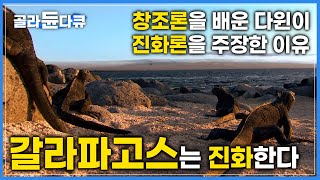 갈라파고스는 왜 진화론의 연구 장소가 됐을까?│갈라파고스는 여전히 진화하고 숨쉰다│하나뿐인지구│#골라듄다큐