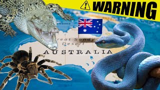 TOP 5 Nejnebezpečnější zvířata Austrálie