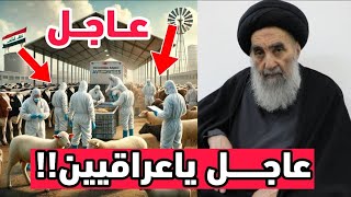 عاجل🔥نداء الى كل العراقيين وبيان من السيد السيستاني اخبار عاجلة وهامة وردتنا الآن!!