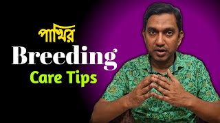 BEST Birds breeding care tips (V-435)