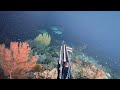 Hunt and get many kinds of reef fish || Spearfishing Indonesia