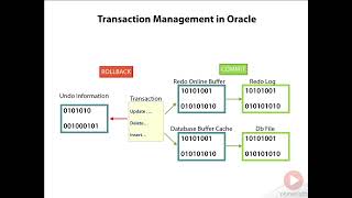 Oracle PL SQL Transactions, Dynamic SQL & Debugging