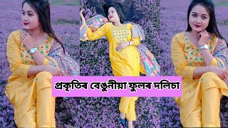 Vlog# জামুগুৰি হাটৰ এখন পথাৰত প্ৰকৃতিয়ে দিয়া ফুলৰ বাগিচা।#Jamugurihat#Sunitpur#