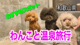 [和歌山] 愛犬と泊まれる温泉宿!・犬御殿オーシャンズビラ