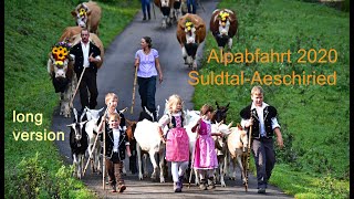 Alpapzug Suldtal Aeschi. Descent of the cows September 2020