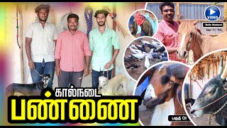 ஒருங்கிணைந்த கால்நடை பண்ணை | ஜமீன் பண்ணை | Integrated livestock farm | Hello Madurai | App | TV |