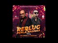 Replug of Pehla Nasha - Dee Arena & Dj Neermal - SIDE C