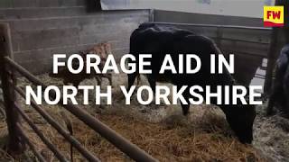 Forage Aid delivers vital supplies to flooded farmers