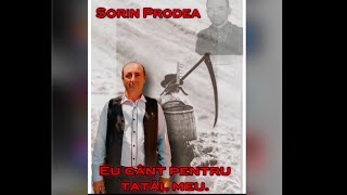 Sorin Prodea- Eu cânt pentru tatăl meu (cover)@FORMATIAMORDASANSIBIU