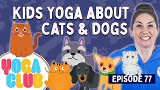 Yoga Club about  Cats \u0026 Dogs (Week 77) 🐾 I  Cosmic Kids Yoga