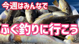 本日フグ爆釣‼️今週はみんなでフグ釣りに出掛けよう🎣🎣🎣1月8日釣果