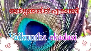 vaikunthaekadashi /swargavathil ekadashi /#watch / #subscribe /#youtube /#TemplesViewsChannel