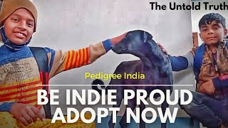 Love has no Breed | Adopt a stray dog @pedigreeindia1533