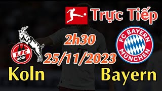Soi kèo trực tiếp Koln vs Bayern Munich - 2h30 Ngày 25/11/2023 - vòng 12 Bundesliga 2023/24