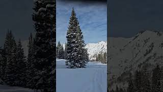 Alta Ski Area – Sunnyside Lift 250108-1