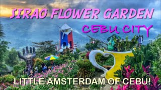 Sirao Flower Garden: Little Amsterdam of Cebu!