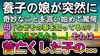 【感動する話】娘を失い施設から養子を迎えた夫婦。ある日突然娘が奇妙なことを言い始めた。なんと前世の記憶を語り始めてその内容に驚愕した…【泣ける話】【いい話】 2