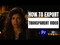 How to Export a Transparent Video in Premiere Pro 2024