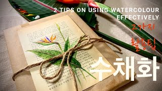 [기초수채화] 책위에 그리는 수채화 /꽃 그림 /#Watercolor Painting /how to painting flowers with watercolour