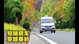 短轴房车自驾秦岭，留坝小环线秋色浓，山中有棵4000年树龄古银杏