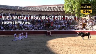 👏🏽 QUÉ NOBLEZA Y BRAVURA DE ESTE TORO!! Concurso Tafalla 2022