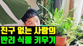 친구 없는 사람의 반려 식물 키우기