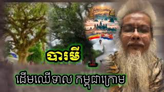 បារមីដើមឈើទាល (គោរពអបិយជំនឿពីបុរាណ) ដម្ដែងដោយ លោកតាសក់សងភ្នំត្បែង