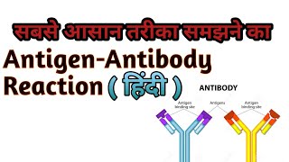 Antigen-Antibody Reaction in ( हिंदी) Essy Way To Explain.
