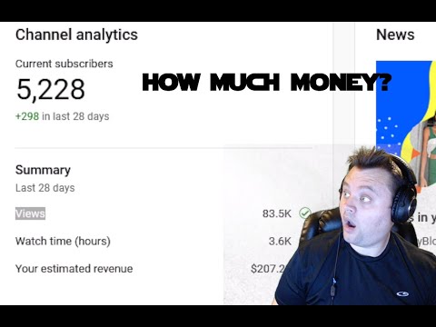 How Much Does Youtube Pay How Much Do Small Rs Make In One Year