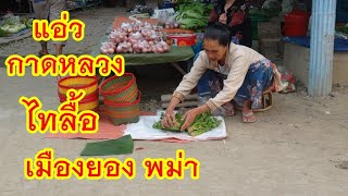 สล่าพาแอ่วกาดหลวงชาวไทลื้อเมืองยอง รัฐฉาน พม่า