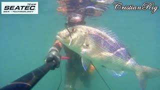 PESCASUB SEATEC - Pescioni alla Portata di Tutti | SPEARFISHING SEATEC- Big Fish for All