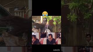 దెబ్బ అదుర్స్ కదూ 😂😂🤕🤕#trending #comedyvideos #funny