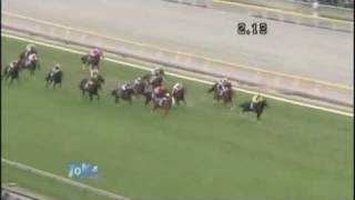 2009 ジャパンカップ JAPAN CUP