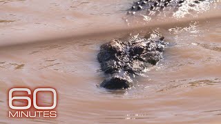 Some Australians worry about safety as population of apex predator crocodiles grows
