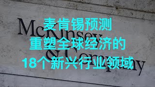 【看见未来】麦肯锡《未来竞争领域报告：重塑全球经济的18个新兴行业领域》拓展你的视野